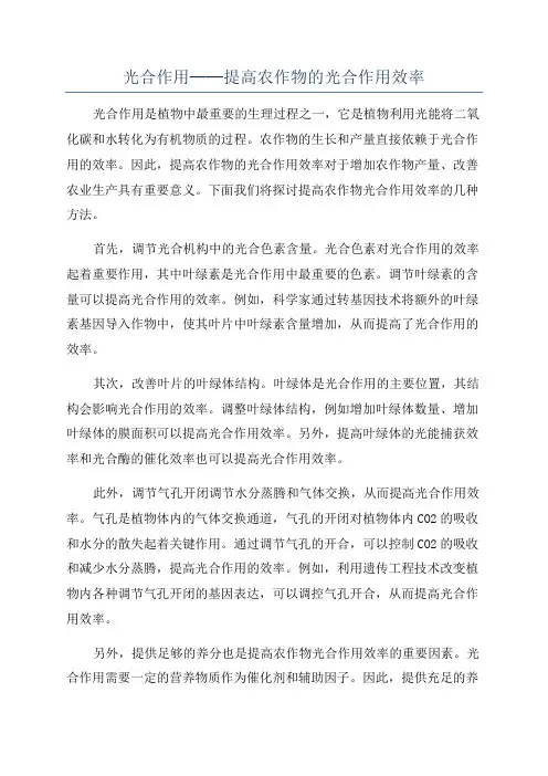 光合作用──提高农作物的光合作用效率