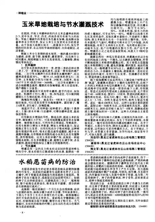 水稻恶苗病的防治