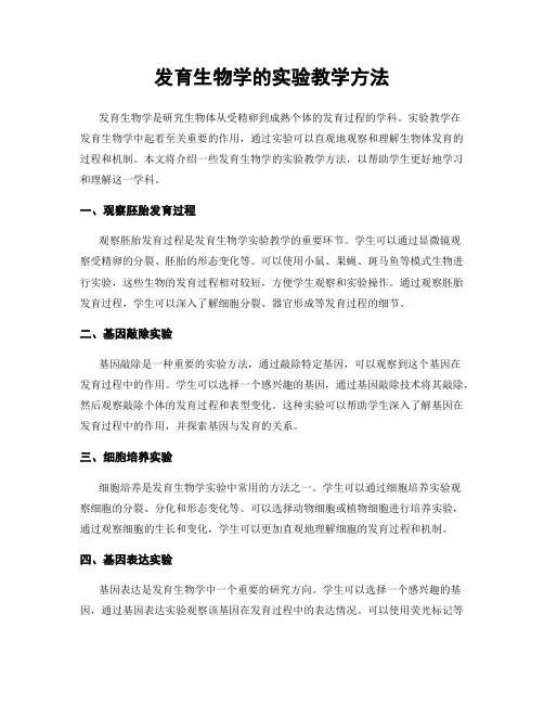 发育生物学的实验教学方法