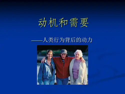动机和需要PPT课件