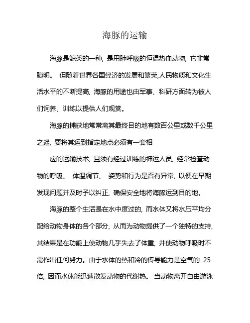 海豚的运输