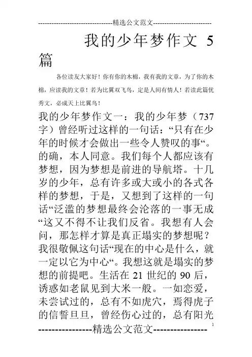 我的少年梦作文5篇_0