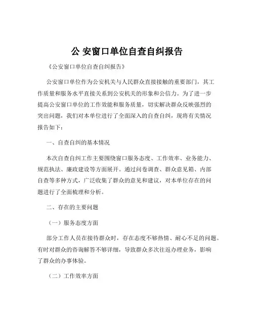 公 安窗口单位自查自纠报告