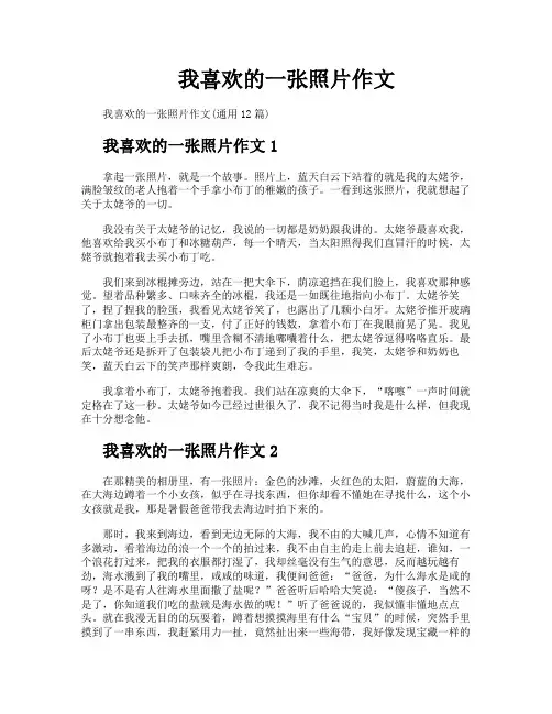 我喜欢的一张照片作文