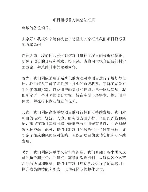 项目招标前方案总结汇报