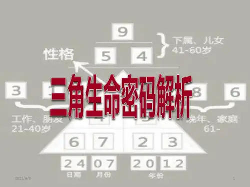 三角生命密码ppt课件