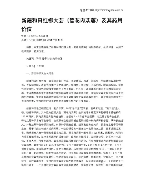 新疆和田红柳大芸(管花肉苁蓉)及其药用价值