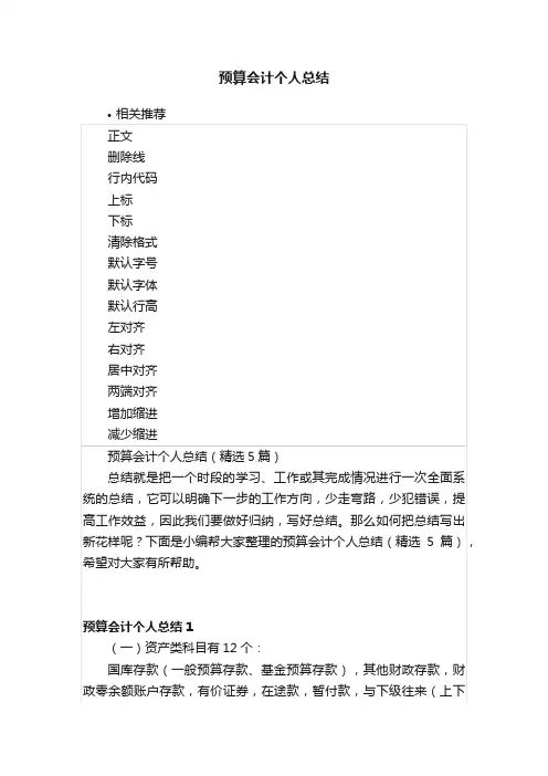 预算会计个人总结