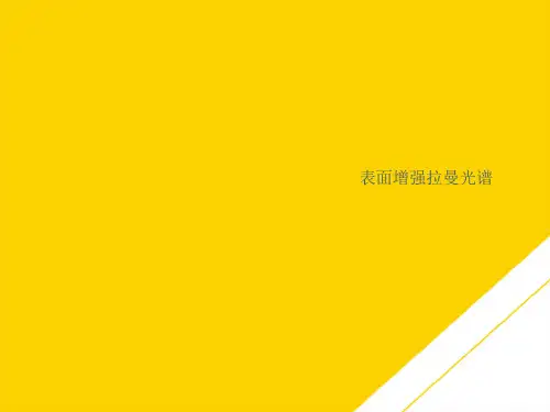 表面增强拉曼光谱(最全版)PTT文档
