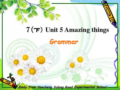 牛津译林版七年级Unit 5 Amazing things Grammar课课件(30张)