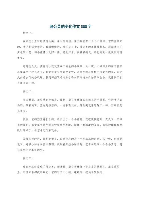 蒲公英的变化作文300字
