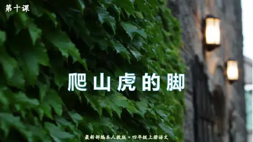 【精品备课课件】最新人教(部编版)语文四年级上册：10.爬山虎的脚