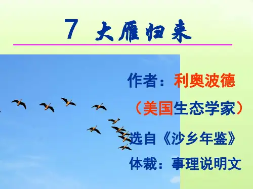 初中语文部编版《大雁归来》PPT课件