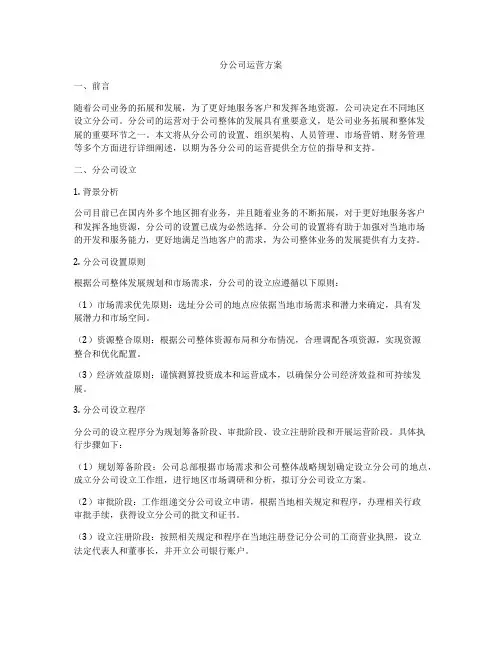分公司运营方案