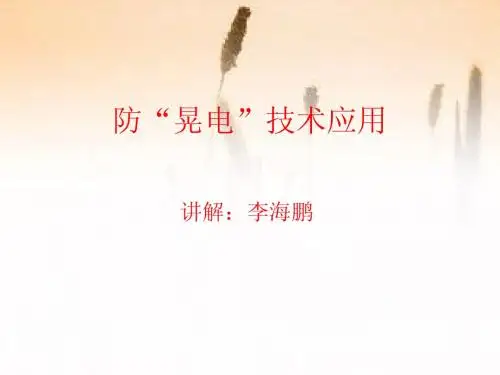 防“晃电”技术应用