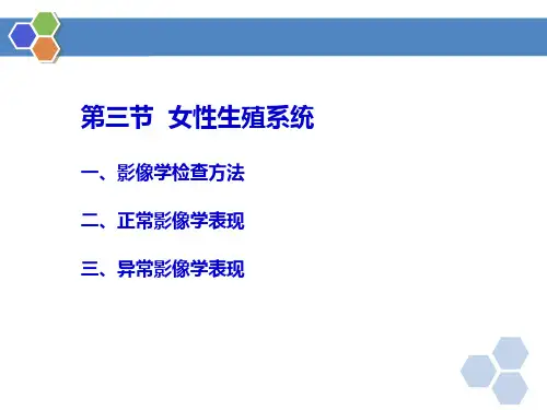 女性生殖系统正常及异常影像表现