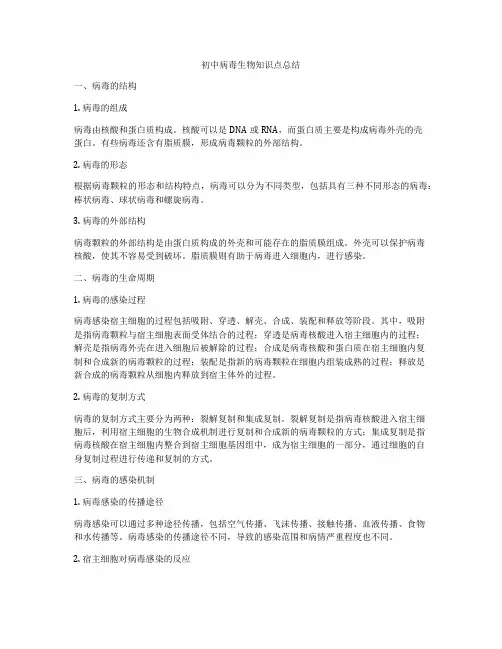 初中病毒生物知识点总结