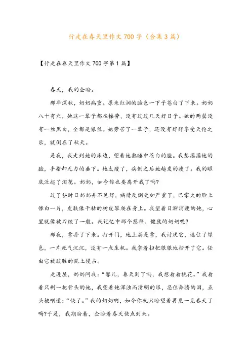 行走在春天里作文700字(合集3篇)