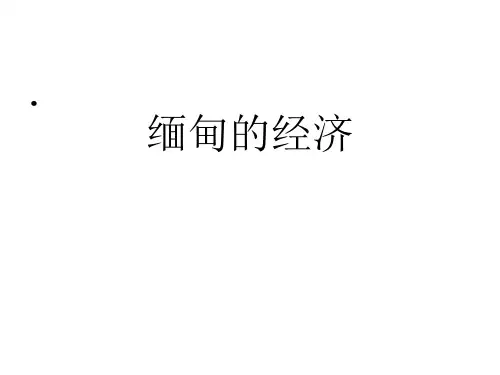 缅甸的经济环境
