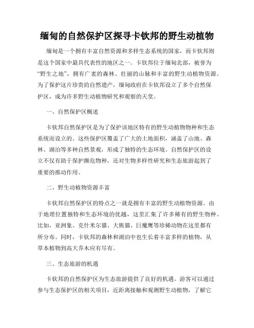 缅甸的自然保护区探寻卡钦邦的野生动植物