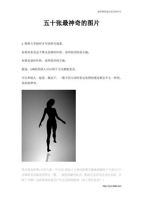 世界上最神奇的五十张图片(免费)