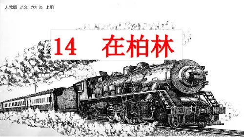 部编版小学六年级语文上册第14课《在柏林》优秀课件