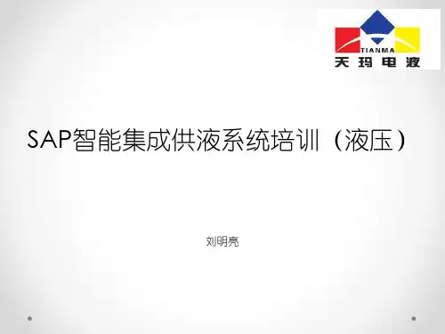 SAP系统培训(液压系统)资料