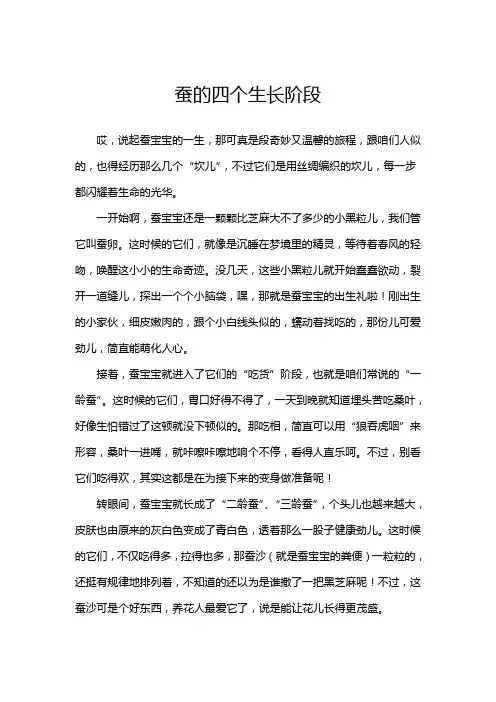 蚕的四个生长阶段