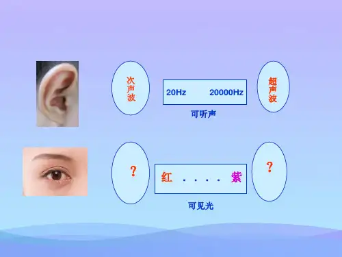 人眼看不见的光ppt2 苏科版优秀课件