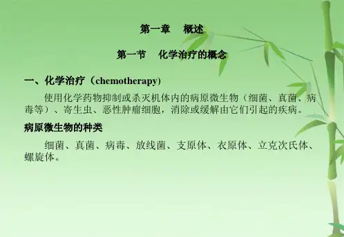 抗病原微生物药物药理(共82张PPT)