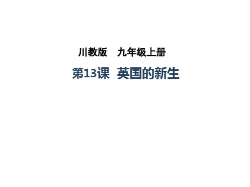 英国的新生ppt2 川教版优质课件