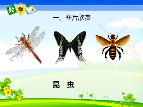 认识轴对称图形课件ppt
