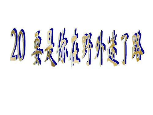 二年级下册语文课件-20、要是你在野外迷了路｜人教新课标 (共28张PPT)