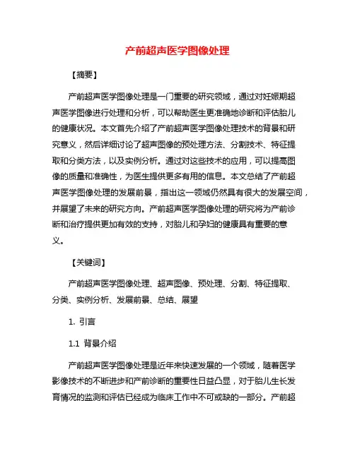 产前超声医学图像处理