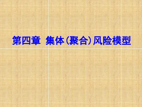 第4章集体风险模型模板