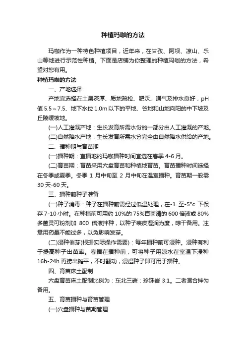 种植玛咖的方法