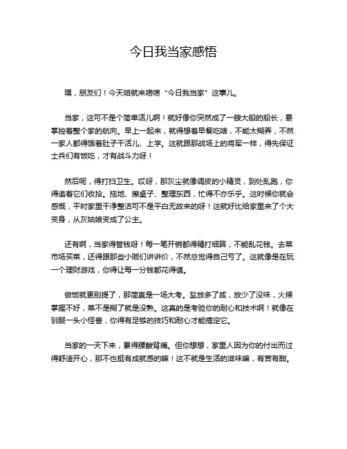 今日我当家感悟