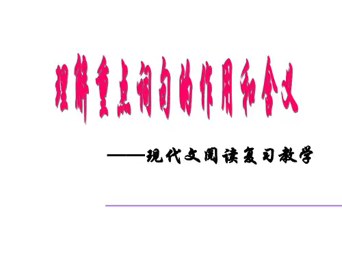 理解重点词句的作用和含义(精)