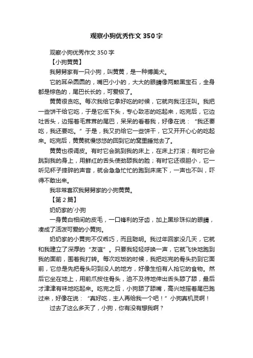 观察小狗优秀作文350字