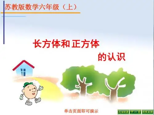 六年级数学上册1.1长方体和正方体的认识 PPT精品课件4苏教版