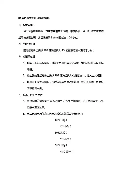 HE染色与免疫组化
