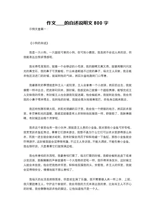 作文____的自述说明文800字