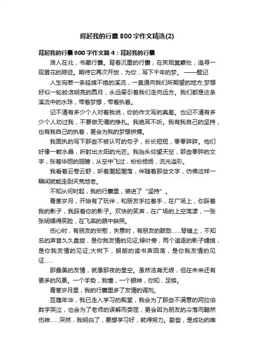 背起我的行囊800字作文精选（2）