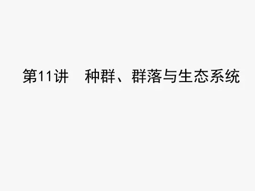 浙江省中考科学复习课件第11讲 种群、群落与生态系统(课件45张)