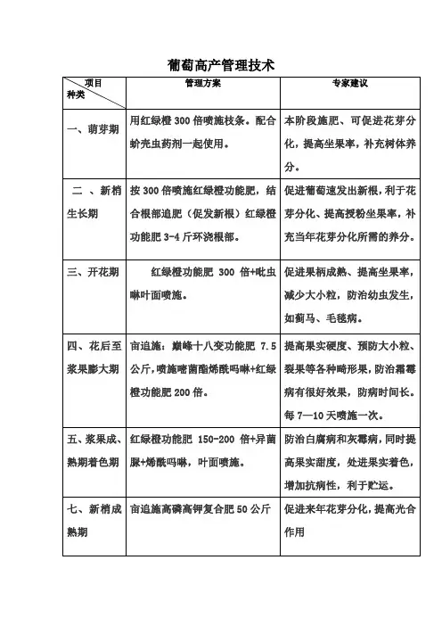 葡萄方案新