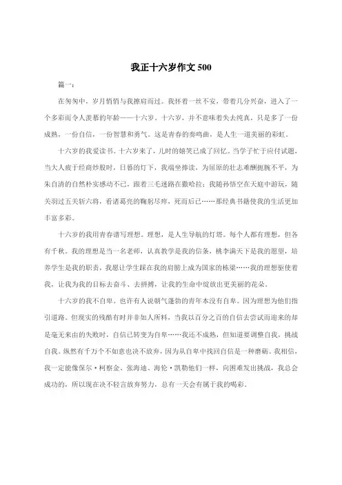 我正十六岁作文500