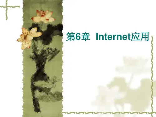 Internet应用基础知识PPT课件
