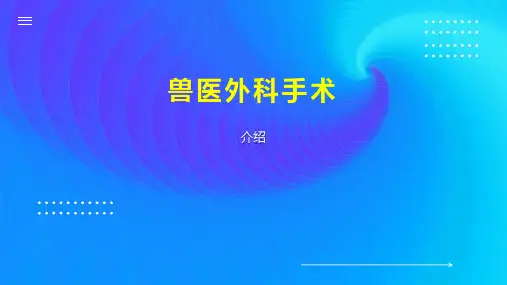 兽医外科手术