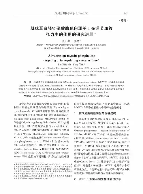 肌球蛋白轻链磷酸酶靶向亚基1在调节血管张力中的作用的研究进展