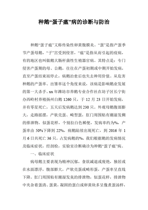 种鹅“蛋子瘟”病的诊断与防治